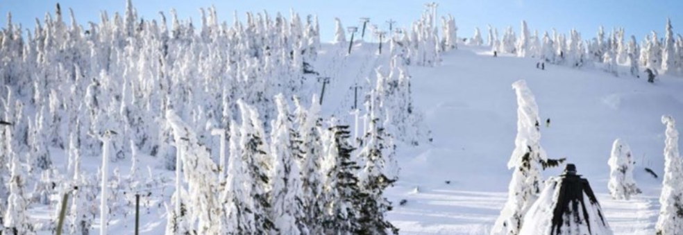 Nybegynnerkurs Alpin